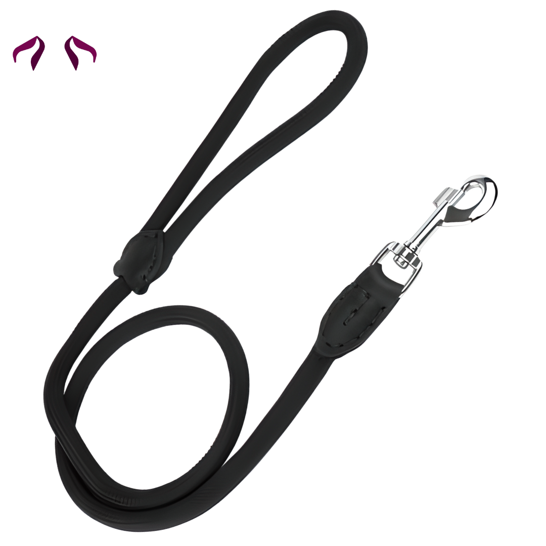 Round Tergal dog leash