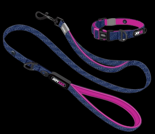 Joyser Dog Leash and Collar Set