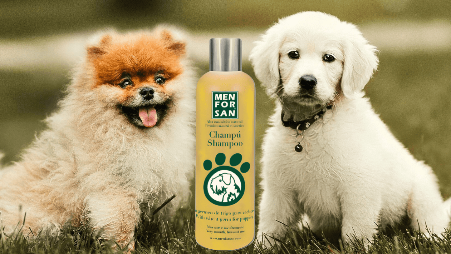 Champú / Shampoo para perros cachorros