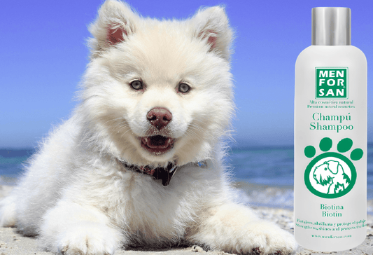 Shampoo / Shampoo for dogs with BIOTIN
