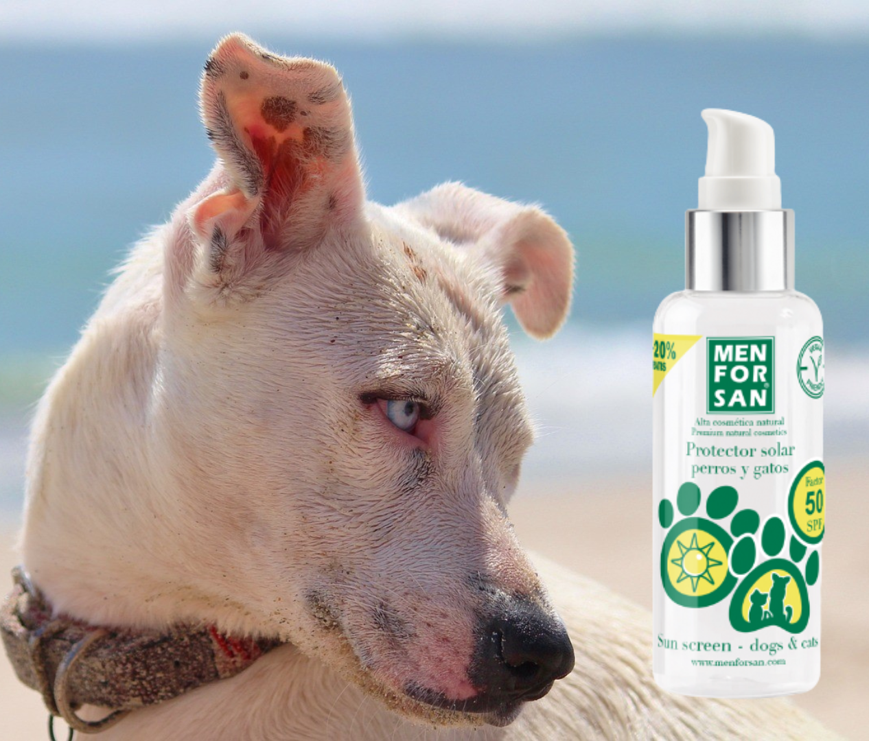Sunscreen for dogs F50