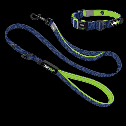 Joyser Dog Leash and Collar Set