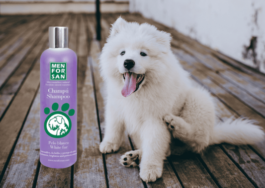 Champú / Shampoo para perros de pelo blanco / claro