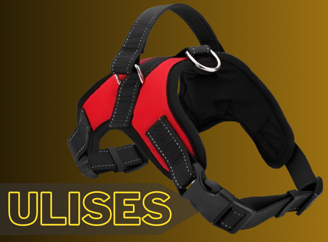 Ulises Fit Red Dog Harness