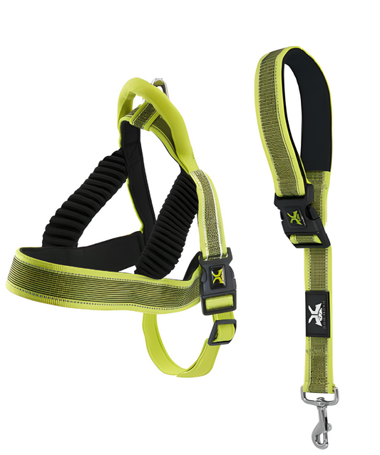 Set Harness / short leash for dog XTRM PRO Adjustable