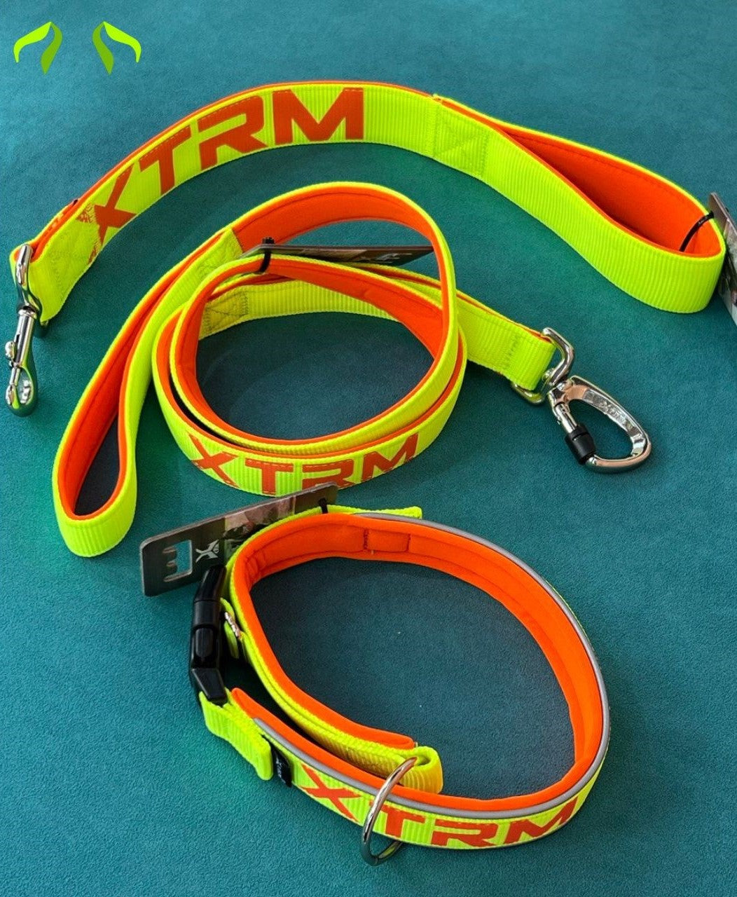 XTRM Collar, Leash and Short Leash Set