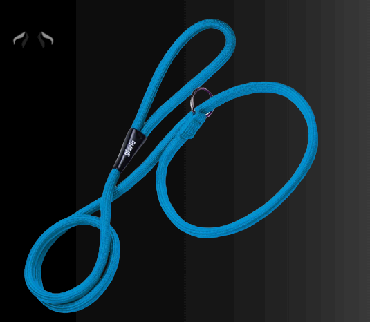 Gloria dog training leash DanaturalDog