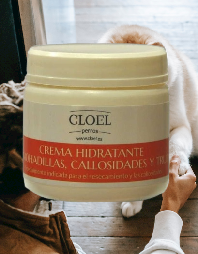 Cream pads Cloel for dog