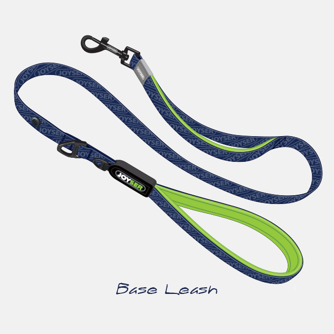 Joyser dog leash