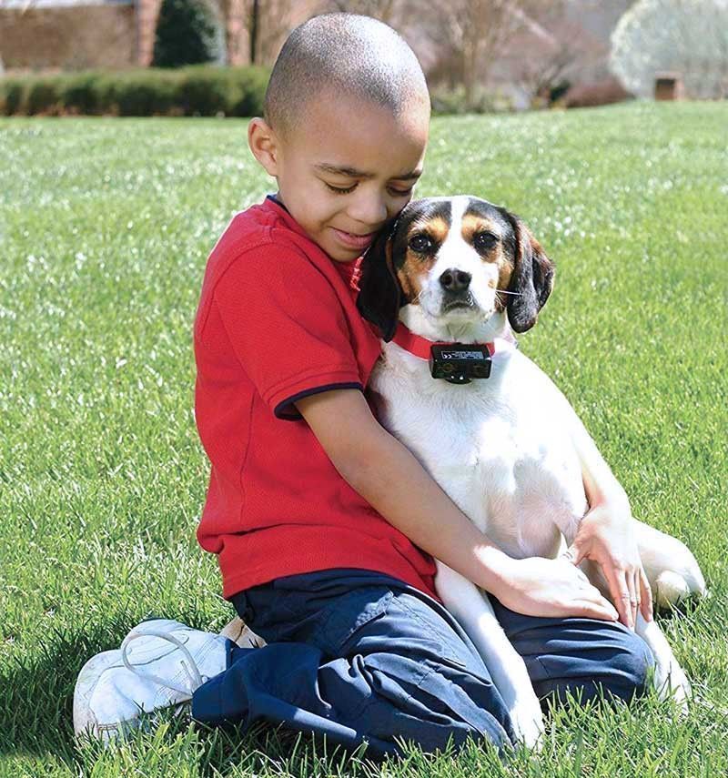 Collar anti-ladrido para perros PetSafe
